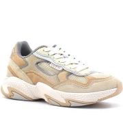Chaussures Guess Sneaker Donna Nude FL8NSLLEA12