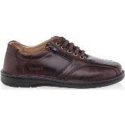 Chaussures Valmonte Chaussures confort Homme Marron