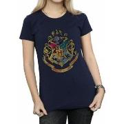 T-shirt Harry Potter BI1012