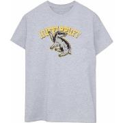 T-shirt Harry Potter BI1218