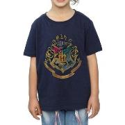 T-shirt enfant Harry Potter BI1102