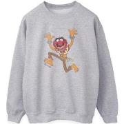 Sweat-shirt The Muppets BI2055