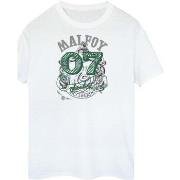 T-shirt Harry Potter BI1503