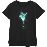 T-shirt Harry Potter BI1736