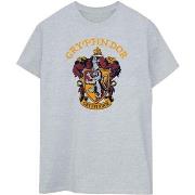 T-shirt Harry Potter BI2148