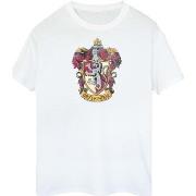 T-shirt Harry Potter BI582