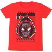 T-shirt Marvel Spider