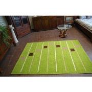 Tapis Rugsx Tapis KARMEL BAKA vert 200x300 cm