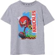 T-shirt enfant Sonic The Hedgehog NS7428