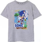 T-shirt enfant Sonic The Hedgehog NS7484