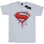 T-shirt enfant Dc Comics BI10754