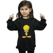 Sweat-shirt enfant Dessins Animés BI1900