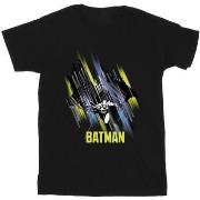 T-shirt Dc Comics Batman Flying Batman