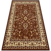 Tapis Rugsx BCF Tapis Morad KLASYK classique - marron 300x400 cm