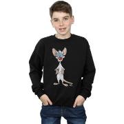 Sweat-shirt enfant Animaniacs BI5607