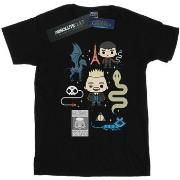 T-shirt enfant Fantastic Beasts BI17792