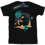 T-shirt enfant Fantastic Beasts BI17869