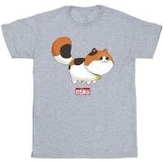 T-shirt Disney Big Hero 6