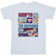 T-shirt enfant Dc Comics DC Super Pets Krypto The Super Dog