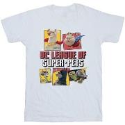 T-shirt enfant Dc Comics DC League Of Super-Pets Profile