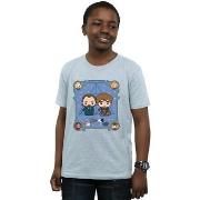 T-shirt enfant Fantastic Beasts BI17383