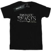 T-shirt enfant Fantastic Beasts Text Logo