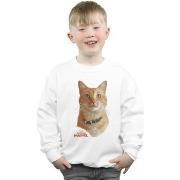 Sweat-shirt enfant Marvel Captain Goose Photo