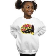 Sweat-shirt enfant Dc Comics BI10049