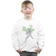 Sweat-shirt enfant Dc Comics BI15019