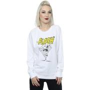 Sweat-shirt Dc Comics BI15207