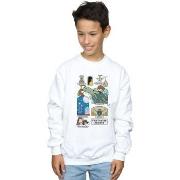 Sweat-shirt enfant Fantastic Beasts BI16699