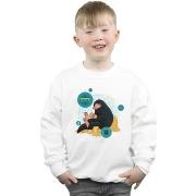 Sweat-shirt enfant Fantastic Beasts BI16739