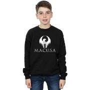 Sweat-shirt enfant Fantastic Beasts BI16797