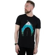 T-shirt Dc Comics Aquaman Mera Ocean Logo