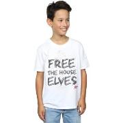 T-shirt enfant Harry Potter Dobby Free The House Elves