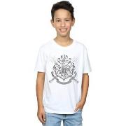 T-shirt enfant Harry Potter BI19944