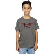 T-shirt enfant Harry Potter Gryffindor Captain