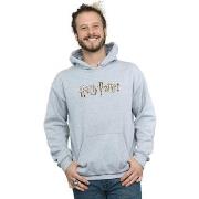 Sweat-shirt Harry Potter BI12007