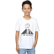 T-shirt enfant Marvel Guardians Of The Galaxy Vol. 2 Groot Mono Triang...