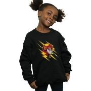 Sweat-shirt enfant Dc Comics BI17175