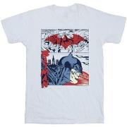 T-shirt enfant Dc Comics BI10107