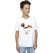T-shirt enfant Disney Big Hero 6 Baymax Kitten Pose