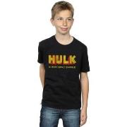 T-shirt enfant Marvel Hulk AKA Robert Bruce Banner