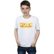 T-shirt enfant Marvel AKA Robert Bruce Banner