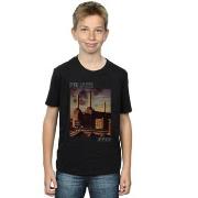 T-shirt enfant Pink Floyd Animals