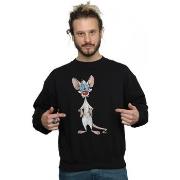 Sweat-shirt Animaniacs BI8152