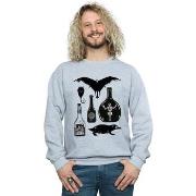 Sweat-shirt Fantastic Beasts BI23263