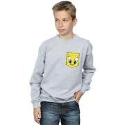 Sweat-shirt enfant Dessins Animés BI22867