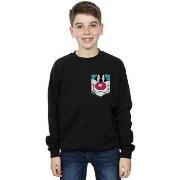 Sweat-shirt enfant Dessins Animés BI22868