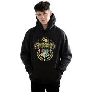 Sweat-shirt Harry Potter Quidditch